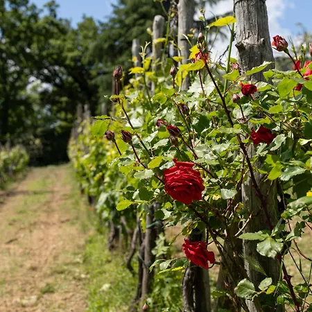 Podere La Fornace 아파트 *
